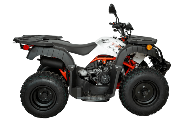 Квадрицикл KAYO AU150 CVT (белый пластик) (ПТС) pitbikemarket.ru
